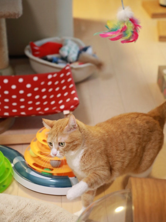 ¾Ã¤¨¤¿¡© ¾Ã¤¨¤¿¡©