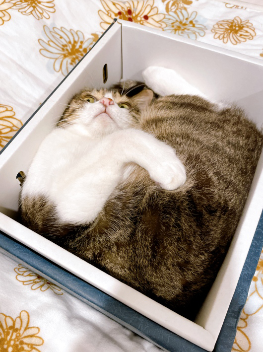 ¤ß¤Ã¤Á¤ê¡£ ¤ß¤Ã¤Á¤ê¡£