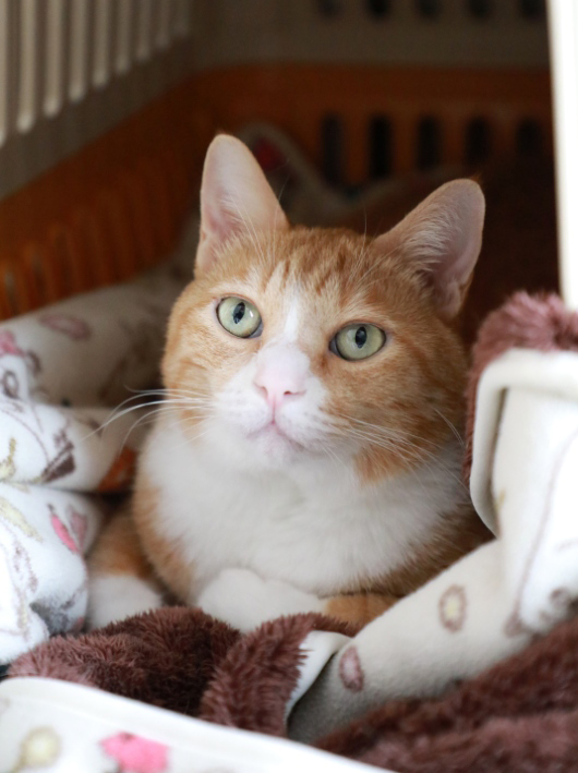 ���Ҥ��ޡ��ޤ�����