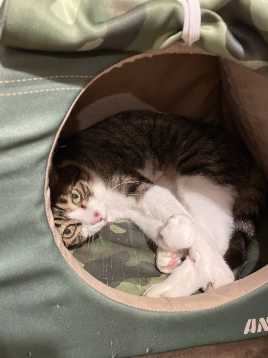 ����Ĥ�����