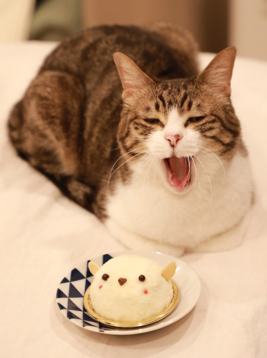 �ޡ��������ɡ�