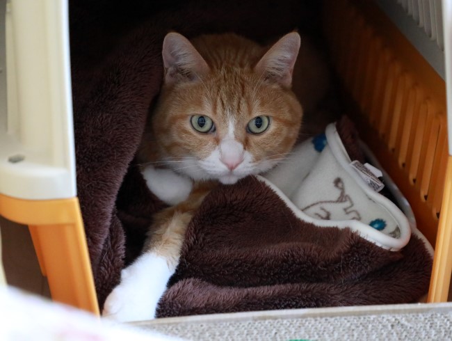 ¥É¥¥É¥¡£ ¥É¥¥É¥¡£