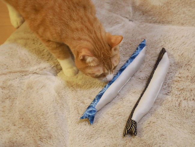 ¤ª¡¼¡ª ¤ª¡¼¡ª