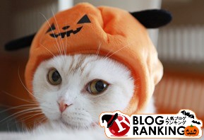 ¥¯¥ê¥Ã¥¯¤Ç¥ß¥ß¥ª¥ì¡£¤ËÅêɼ ¥¯¥ê¥Ã¥¯¤Ç¥ß¥ß¥ª¥ì¡£¤ËÅêɼ