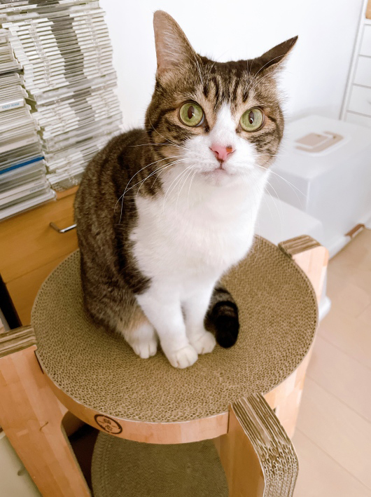 ���ޤˤϤ͡�