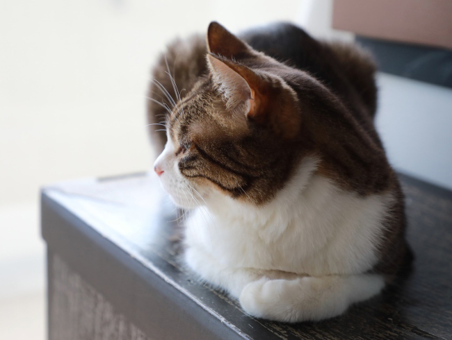 ���������