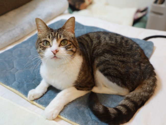 �������ä��Ρ�