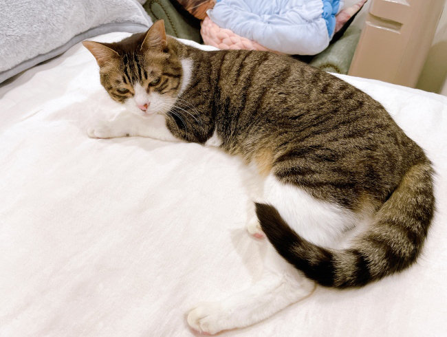 ¤à¤à¤Ã¡£ ¤à¤à¤Ã¡£