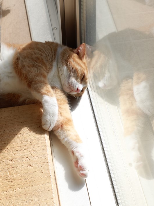 ¤ª¤Ò¤µ¤ÞºÇ¹â¡£ ¤ª¤Ò¤µ¤ÞºÇ¹â¡£