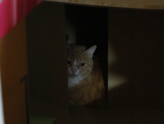 �Ҥä��ꡣ
