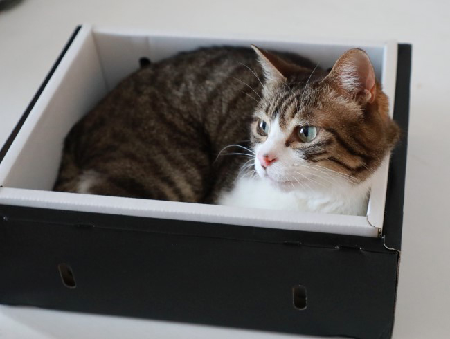 ¤Õ¤à¡£ ¤Õ¤à¡£