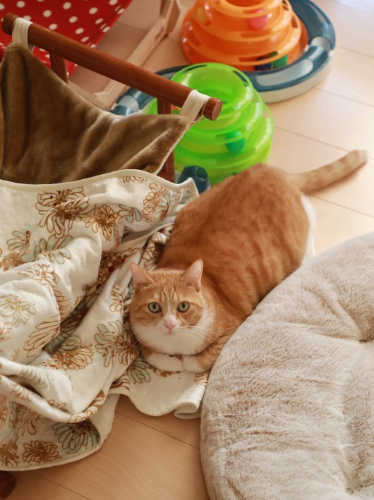 ¹©Éפ·¤¿¤Î¡£ ¹©Éפ·¤¿¤Î¡£