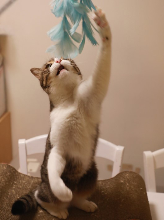 �भ���á�