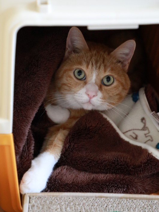 °Â¿´¡£ °Â¿´¡£