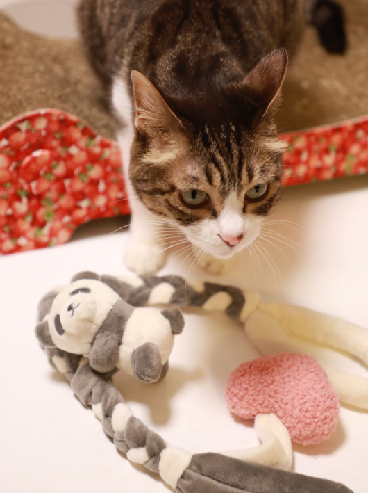 ¤à¡¼¤ó¡£ ¤à¡¼¤ó¡£