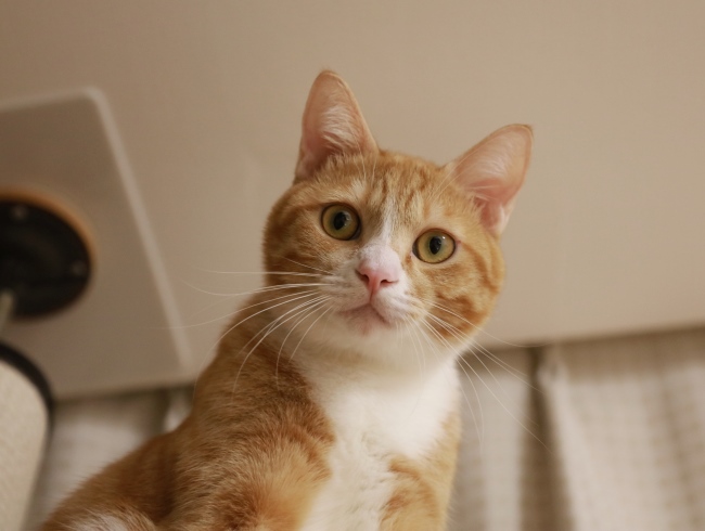 ¥Ü¥¯¤Ï¤Þ¤À¿²¤Þ¤»¤ó¤è¡£ ¥Ü¥¯¤Ï¤Þ¤À¿²¤Þ¤»¤ó¤è¡£