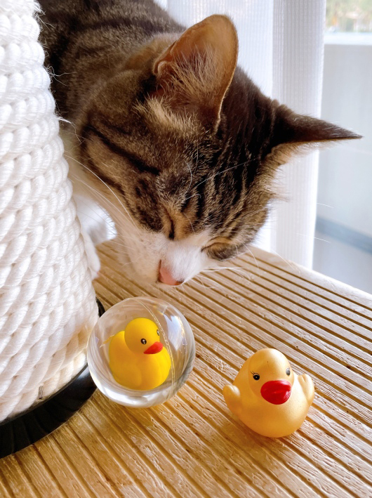 ¤¯¤µ¤Ã¡ª ¤¯¤µ¤Ã¡ª