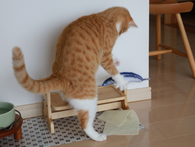 ¤Û¤Û¤Û¡¼¤¤¡£ ¤Û¤Û¤Û¡¼¤¤¡£