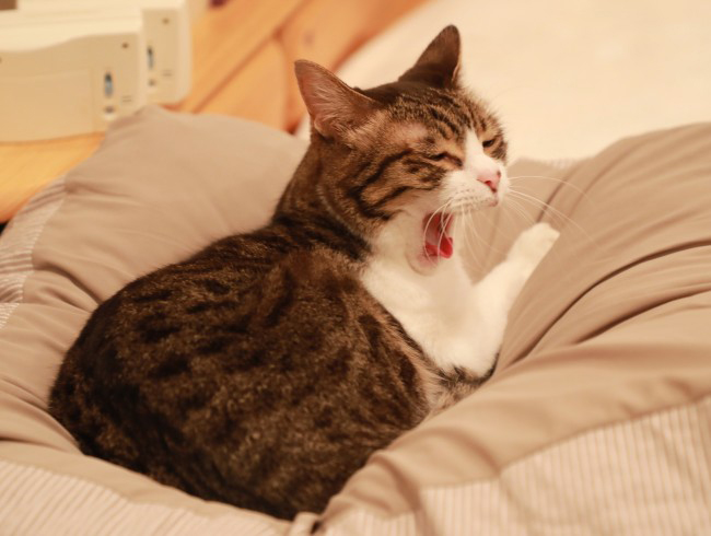 �ޤ�������