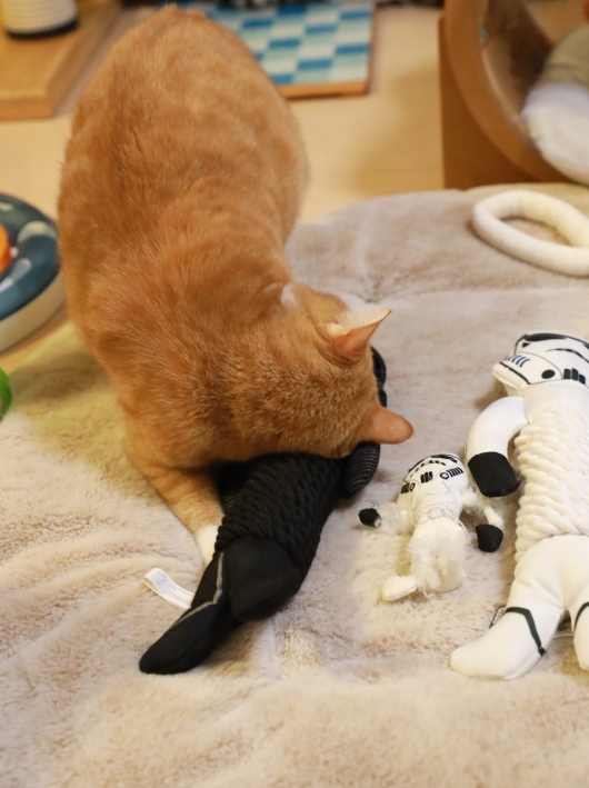 °¹¤µ¤ó¤Î¥Ë¥ª¥¤¢ö °¹¤µ¤ó¤Î¥Ë¥ª¥¤¢ö