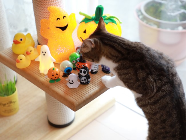 ư¤¯¤Î¡© ư¤¯¤Î¡©