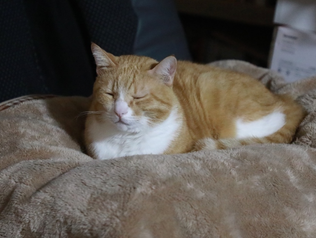 �Ȥ�����