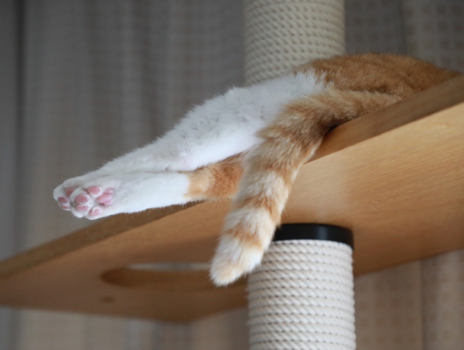 ¤¿¤é¤é¡Á¤ó¡£ ¤¿¤é¤é¡Á¤ó¡£