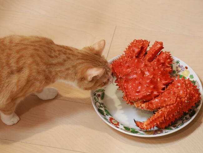 ̤�ΤȤ�������