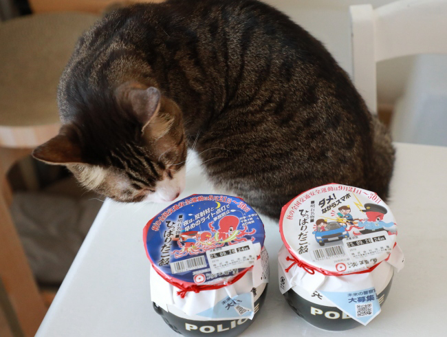 ¥Ñ¥È¥«¡¼¡© ¥Ñ¥È¥«¡¼¡©