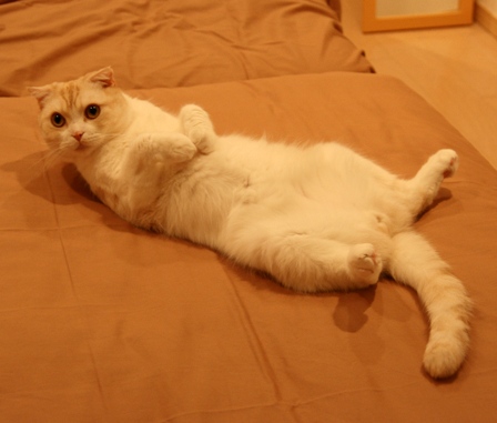 ��å��äƤʤ��ˡ�