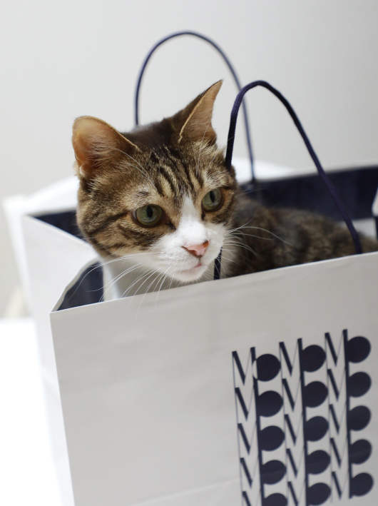 ¤Õ¤Õ¡£ ¤Õ¤Õ¡£