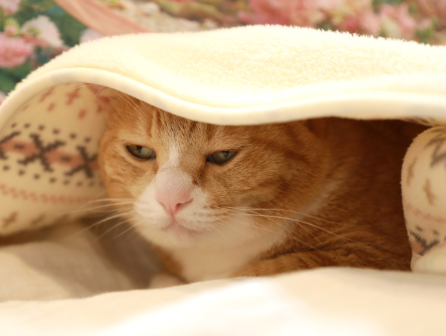 �뤤����