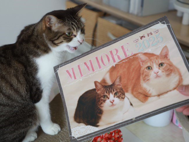 ���꤬�Ȥ��������ޤ���