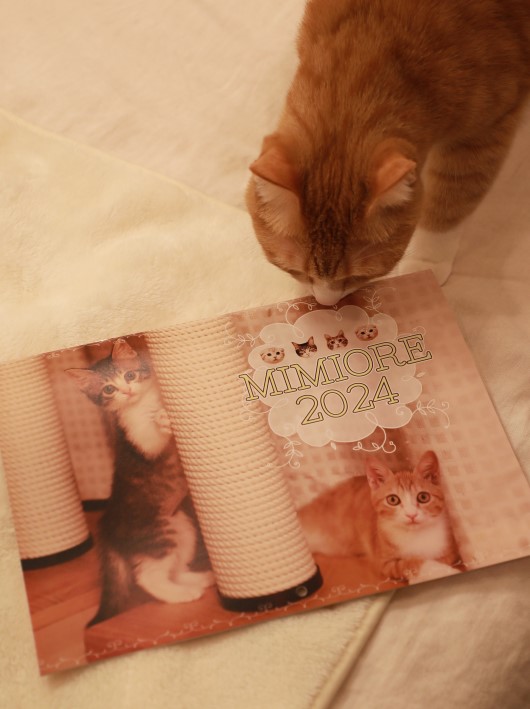 ¤Þ¤â¤Ê¤¯¤ªÆÏ¤±¡£ ¤Þ¤â¤Ê¤¯¤ªÆÏ¤±¡£