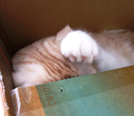 ������������