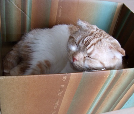 ����������