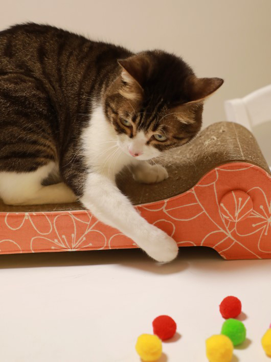 �भ���á�