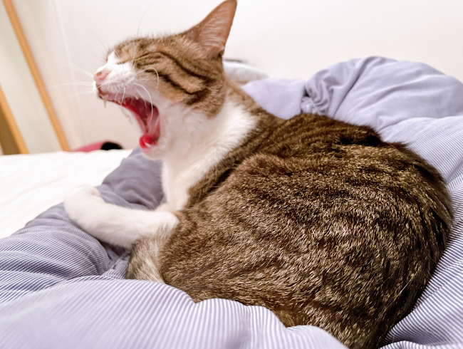 ���ߤ����