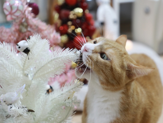 �������