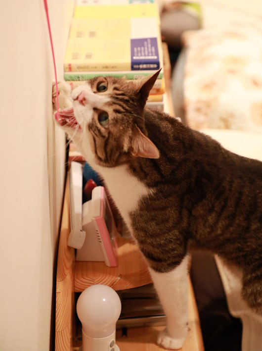 ¤¯¤ï¤Ã¡ª ¤¯¤ï¤Ã¡ª