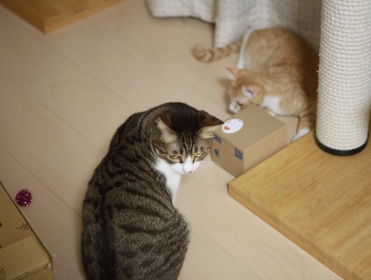 ½¸Ã椷¤Æ¤Ê¡¼¤¤¡£ ½¸Ã椷¤Æ¤Ê¡¼¤¤¡£