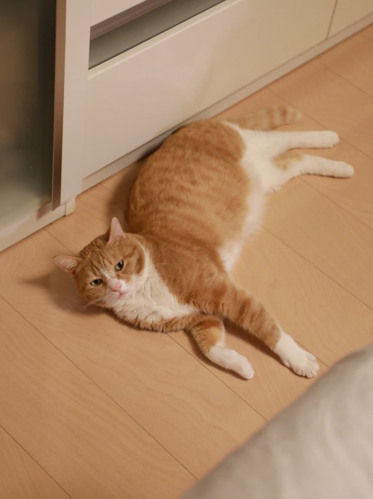 狼Í褿¡ª 狼Í褿¡ª