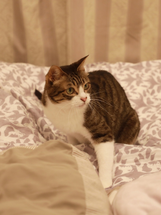 Í褤¤Ã¡£ Í褤¤Ã¡£