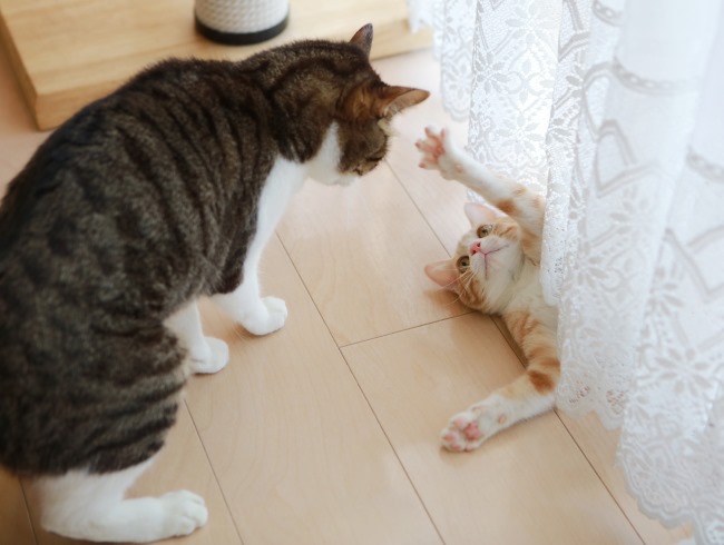 ���Ӥû��о졣