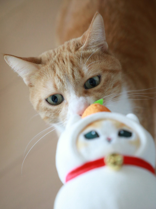 ���ʤ��Ρ�