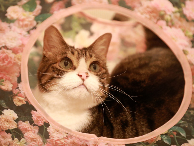 ¤¤é¡Á¤ó¡ù ¤¤é¡Á¤ó¡ù