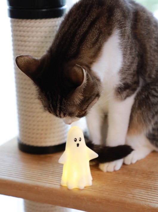 ¿·¤·¤¤»Ò¡© ¿·¤·¤¤»Ò¡©