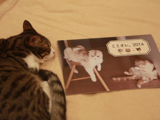 ���ߡ�̲���Ρ�