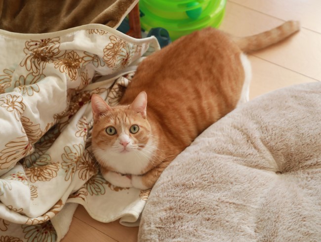 ¾²¤â¹¥¤¡£ ¾²¤â¹¥¤¡£