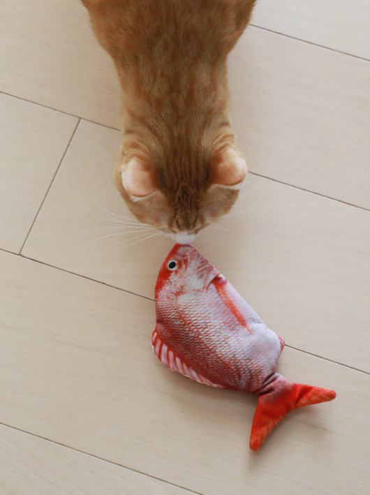 �ߤޤä���